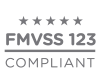 FMVSS 123